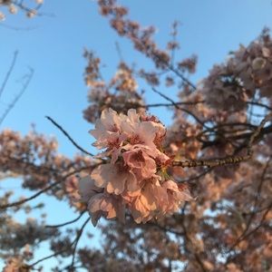 SUMMER SERIES COMING SOON!